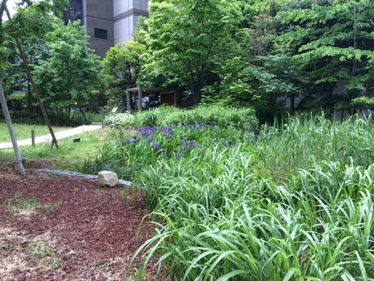 ARK Hills Sengokuyama Mori Tower by null