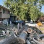 Photo of Martinez Tree Service