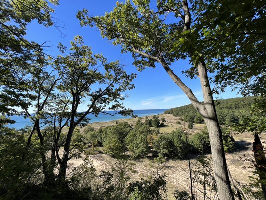 Rosy Mound Natural Area by null