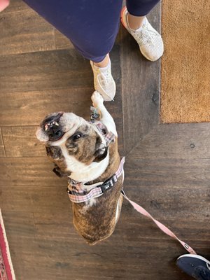 Motoring Coffee by null