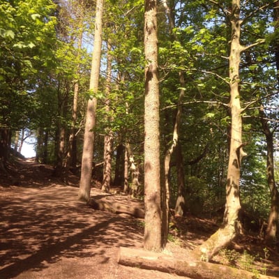 Cave Hill Country Park by null