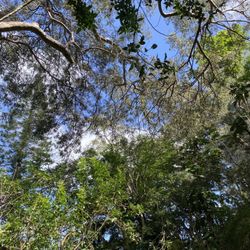 Friendship Garden