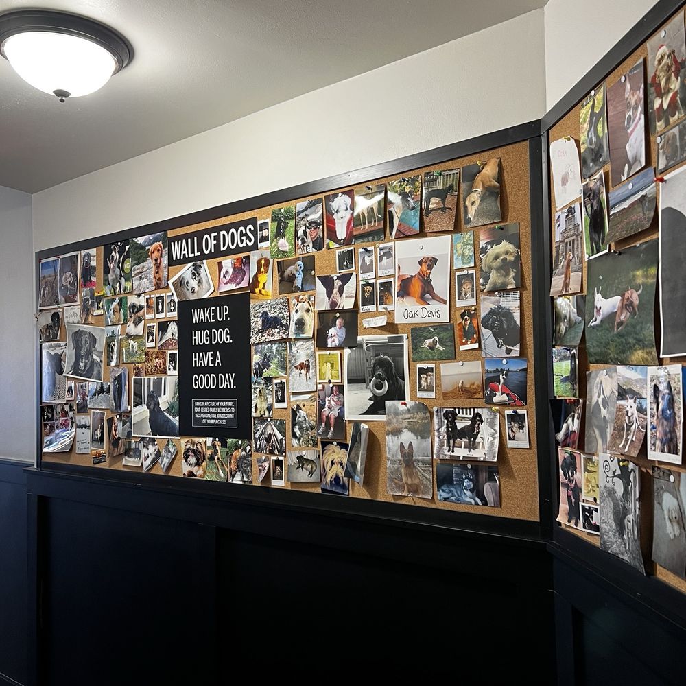 Black Dog Coffee House - Wall of dogs! - Coffee & Tea Near Me - Billings, Montana