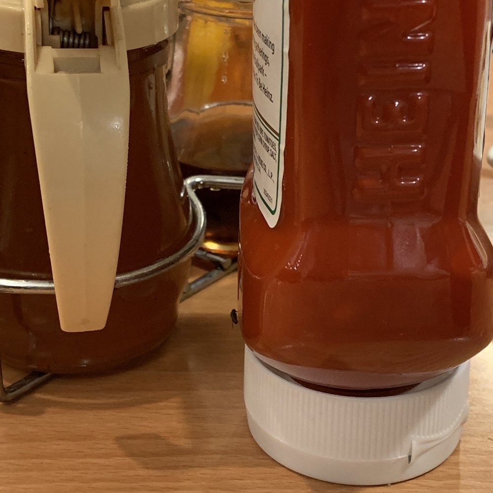 Flies on Ketchup bottle