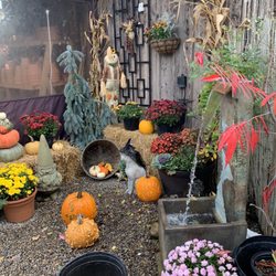 Welcome Fall!