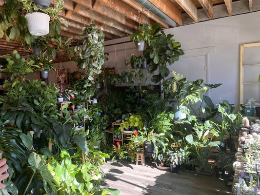 The Living Room by null