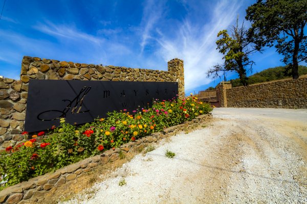 Maysara Winery by null