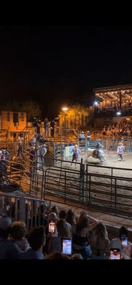 Buffalo Chip Saloon and Steakhouse by null