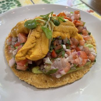 Holbox - Kanpachi & Uni Tostada - Latin American Near Me - Los Angeles, California Holbox - Kanpachi & Uni Tostada - Latin American Near Me - Los Angeles, California