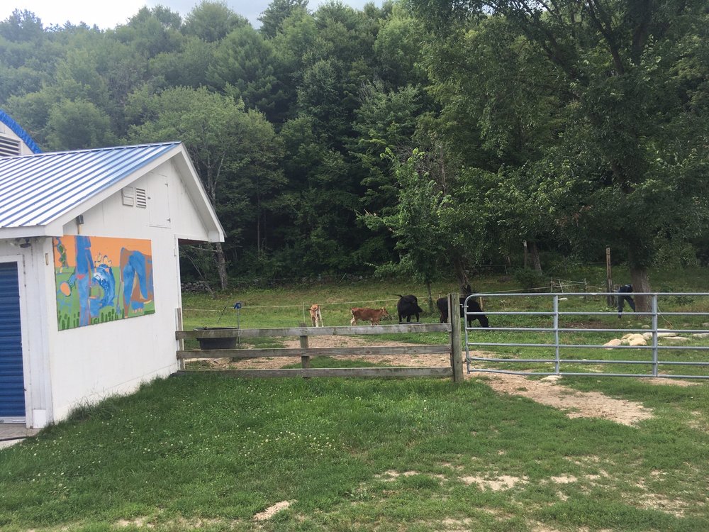 JERSEY GIRLS DAIRY & FARM STORE Updated July 2024 27 Photos 157