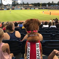 Sit Means Sit Dog Training Nashville