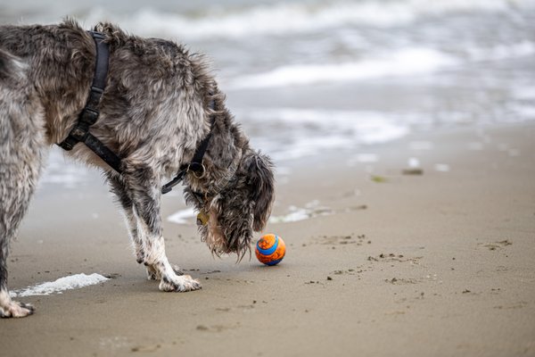 ALBANY STATE MARINE RESERVE - Updated March 2025 - 20 Photos - 1