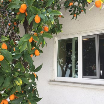Vista Window Mfg - Windows Installation Near Me - Monrovia, California