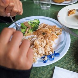 Pad Thai Noodle