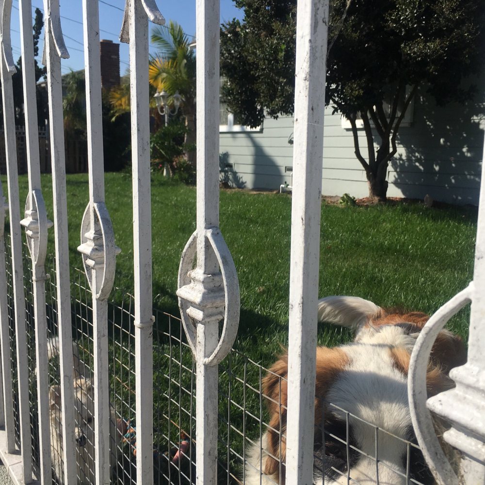 Midwest Landscaping - Landscaping Near Me - Los Angeles , California Midwest Landscaping - Landscaping Near Me - Los Angeles , California