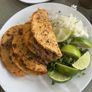 Yoli's Tacos Y Mas - Quesabirria tacos - Mexican Near Me - Bastrop, Texas Yoli's Tacos Y Mas - Quesabirria tacos - Mexican Near Me - Bastrop, Texas