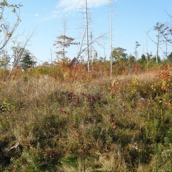 Point Pleasant Park - Parks Near Me - Halifax, Nova Scotia
