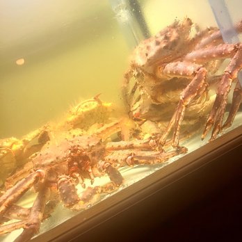 Klaw Miami - King crabs - Steakhouses Near Me - Miami, Florida Klaw Miami - King crabs - Steakhouses Near Me - Miami, Florida