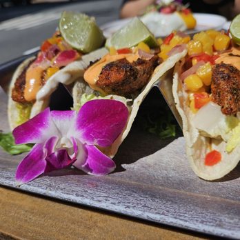 Shorefyre Beach Bar & Grill - Beautiful day for delicious blackened fish tacos! - Breakfast & Brunch Near Me - Honolulu, Hawaii Shorefyre Beach Bar & Grill - Beautiful day for delicious blackened fish tacos! - Breakfast & Brunch Near Me - Honolulu, Hawaii