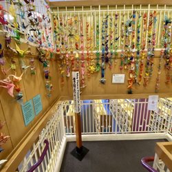 Santa Cruz Public Libraries: Downtown Branch
