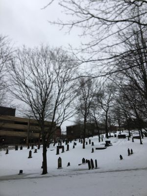 Loyalist Burial Ground by null