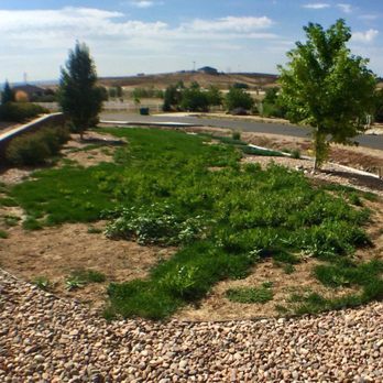 Saela Pest Control - Pest Control Near Me - Northglenn, Colorado Saela Pest Control - Pest Control Near Me - Northglenn, Colorado