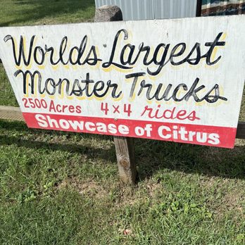 Showcase of Citrus - Attraction Farms Near Me - Clermont, Florida