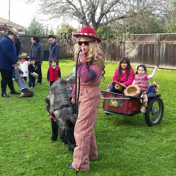 Most Unique Parties and Ponies - Party & Event Planning Near Me - Boulder Creek, California
