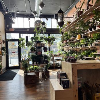 Bad Seed Coffee & Supply - Coffee & Tea Near Me - Omaha, Nebraska Bad Seed Coffee & Supply - Coffee & Tea Near Me - Omaha, Nebraska