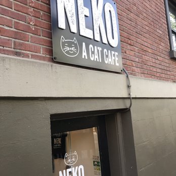 NEKO: A Cat Cafe - Themed Cafes Near Me - Seattle, Washington NEKO: A Cat Cafe - Themed Cafes Near Me - Seattle, Washington