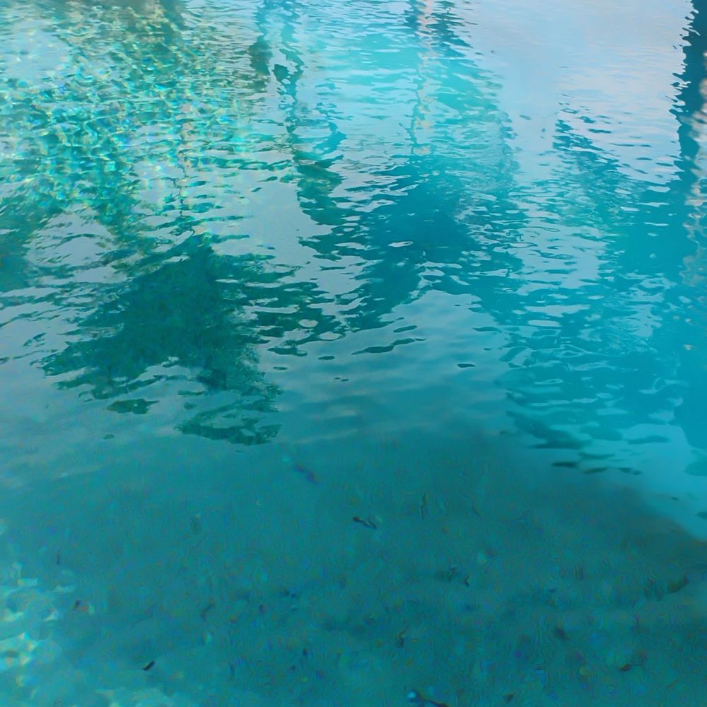 Checkered Flag Pool Service - Hot Tub & Pool Near Me - St. Petersburg, Florida