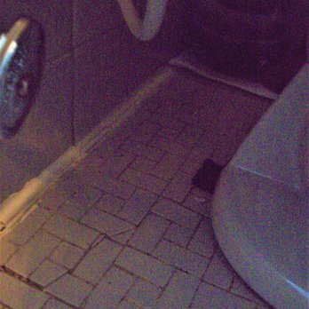 Quint Plumbing & Heating - SOME OF THE DAMAGED CERAMIC AND PLASTIC LIFT FOR TOILET NOW. - Plumbing Near Me - Wyandotte, Michigan Quint Plumbing & Heating - SOME OF THE DAMAGED CERAMIC AND PLASTIC LIFT FOR TOILET NOW. - Plumbing Near Me - Wyandotte, Michigan