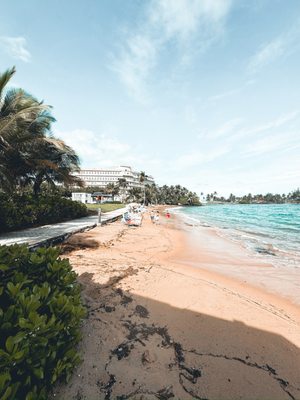 Caribe Hilton by null