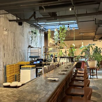 Antidote - Cocktail Bars Near Me - Brooklyn, New York