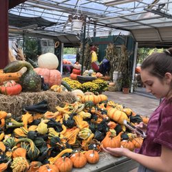 Town & Country Farm & Garden Center
