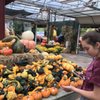 Town & Country Farm & Garden Center gift card