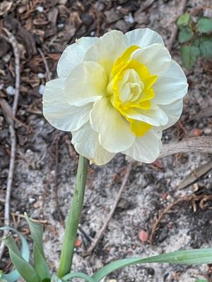 Clark Gardens by null