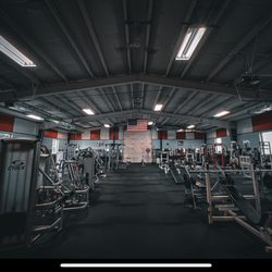 Flex Appeal - Our main floor