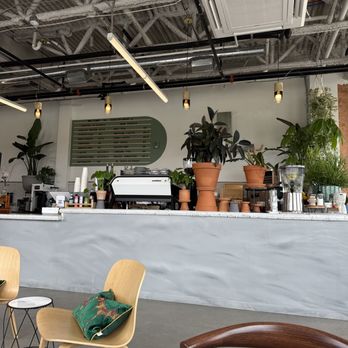 Dose Detroit - Coffee & Tea Near Me - Detroit, Michigan