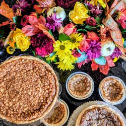 Alohamade Bites - Hawaiian Macadamia Pies and Petals Thanksgiving Friendsgiving Christmas Holiday Feast