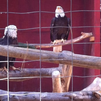 Wildlife Learning Center - Zoos Near Me - Sylmar, California