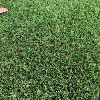 Cocoturf - Turf!!! - Artificial Turf Near Me - Los Angeles. CA, California Cocoturf - Turf!!! - Artificial Turf Near Me - Los Angeles. CA, California