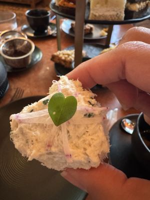 Dahlia by null Dahlia by null