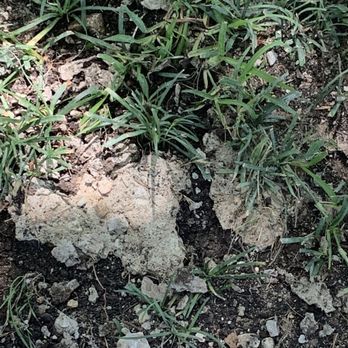Pro Quality Concrete - Dried concrete on grass. - Patio Coverings Near Me Pro Quality Concrete - Dried concrete on grass. - Patio Coverings Near Me
