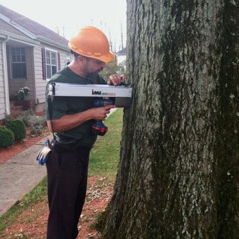 Greenwood Tree and Lawn - Tree Services Near Me - Montville, New Jersey Greenwood Tree and Lawn - Tree Services Near Me - Montville, New Jersey