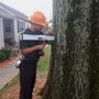 Photo of Greenwood Tree and Lawn