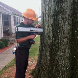 Greenwood Tree and Lawn