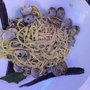 Photo of L'Angolo Blu