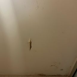 Shower with ceiling damage and mold. Shower with ceiling damage and mold.