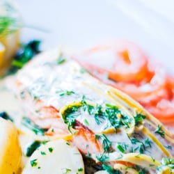 Fresca - Salmone Mattos